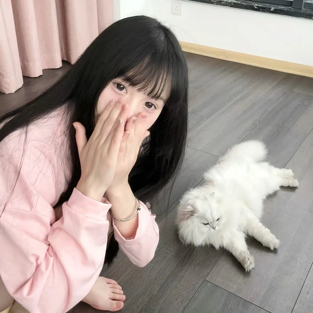 阿尔法 (2019年电影)
